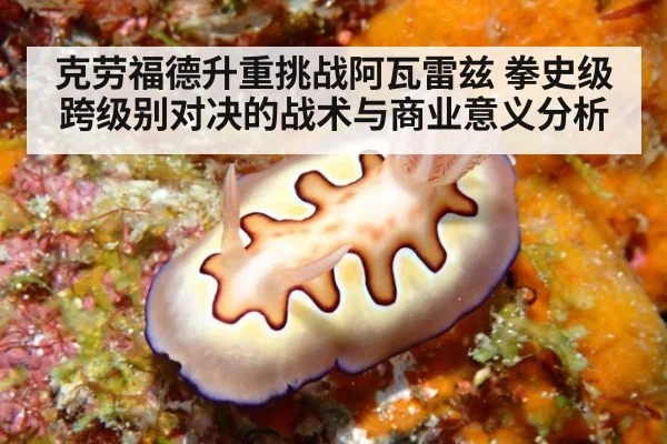 克劳福德升重挑战阿瓦雷兹 拳史级跨级别对决的战术与商业意义分析
